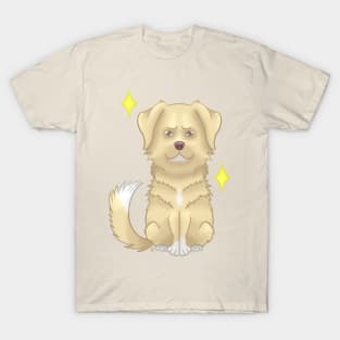 Nova Scotia retriever light gold T-Shirt